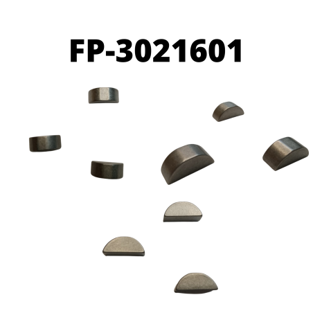 FP-3021601