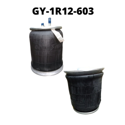 GY-1R12-603