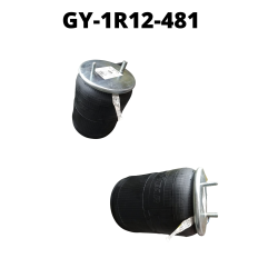GY-1R12-481
