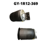 GY-1R12-369