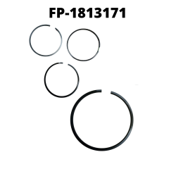 FP-1813171