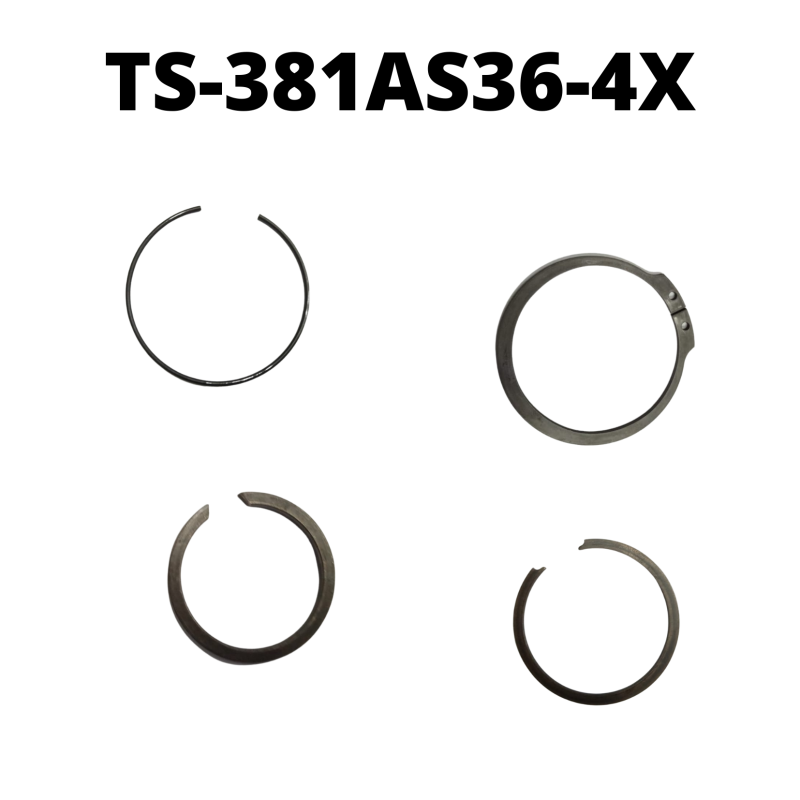 TS-381AS36-4X
