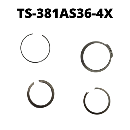 TS-381AS36-4X