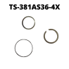 TS-381AS36-4X