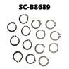 SC-B8689
