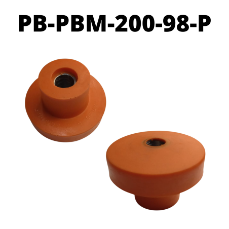 PB-PBM-200-98-P