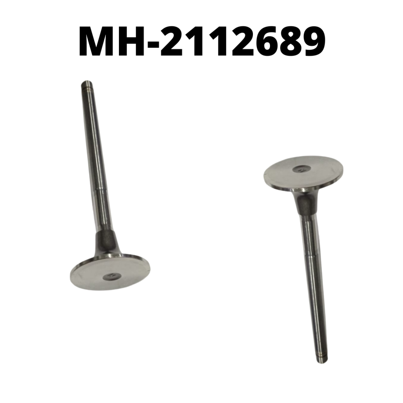 MH-2112689
