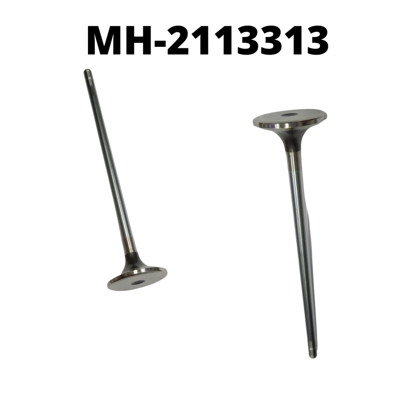 MH-2113313