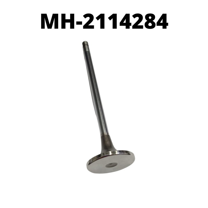 MH-2114284