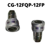 CG-12-12MP