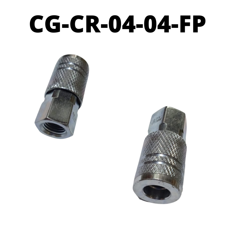 CG-CR-04-04-FP