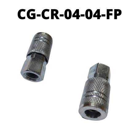 CG-CR-04-04-FP