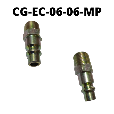 CG-EC-06-06-FP