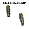 CG-EC-06-06-FP