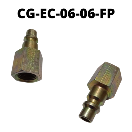 CG-EC-06-06-MP