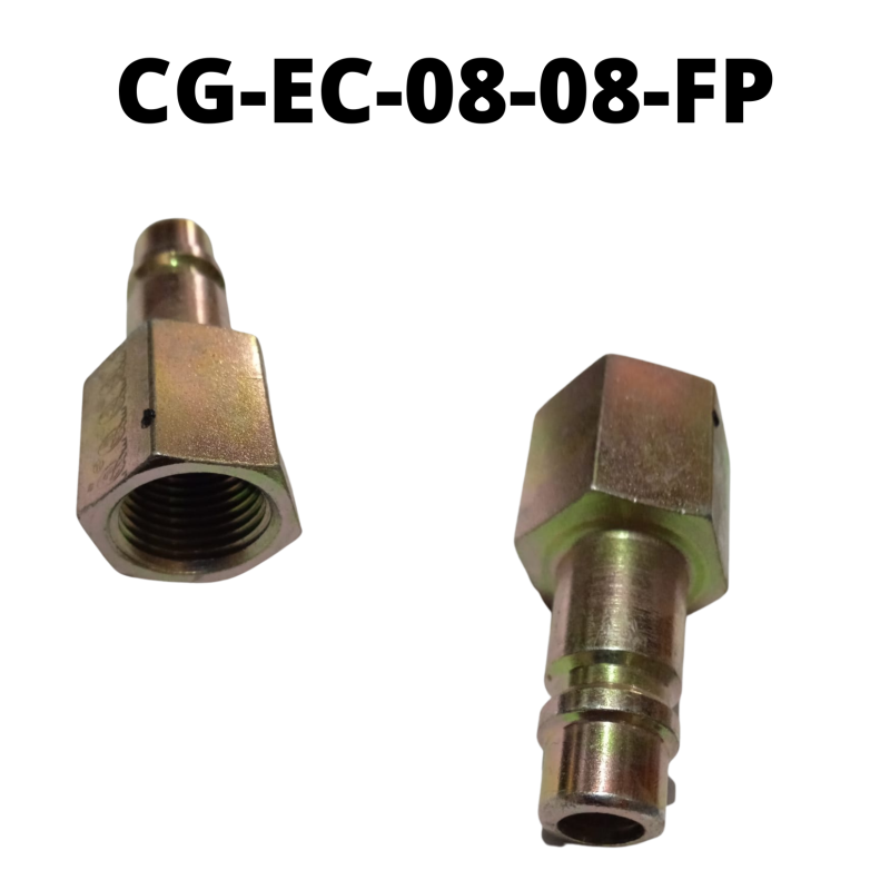 CG-EC-08-08-FP