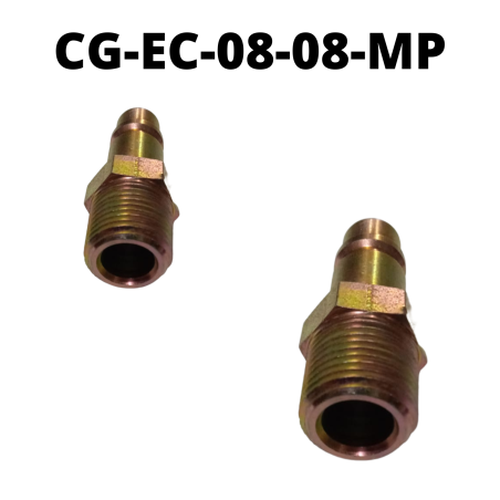 CG-EC-08-08-MP
