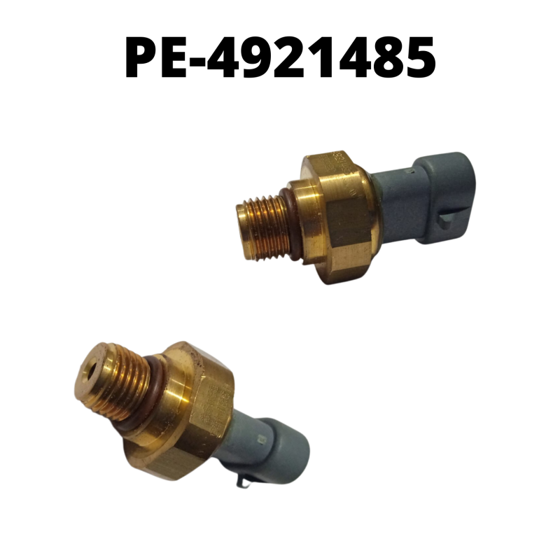 PE-4921485