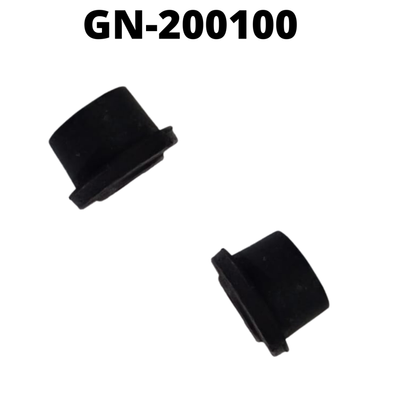 GN-200100