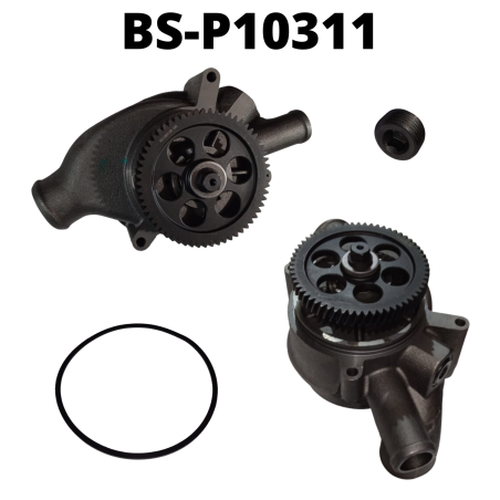 BS-P10311