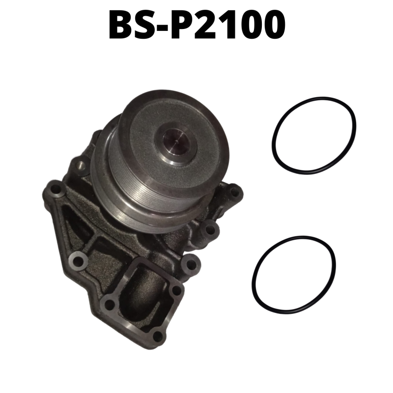 BS-P2100