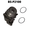 BS-P2100
