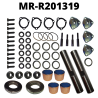 MR-R201319