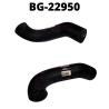 BG-22950