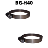BG-H40