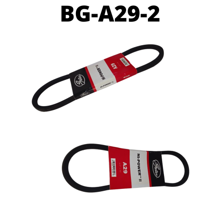 BG-A29-2