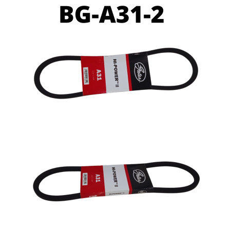 BG-A31-2