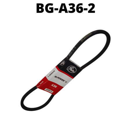 BG-A36-2