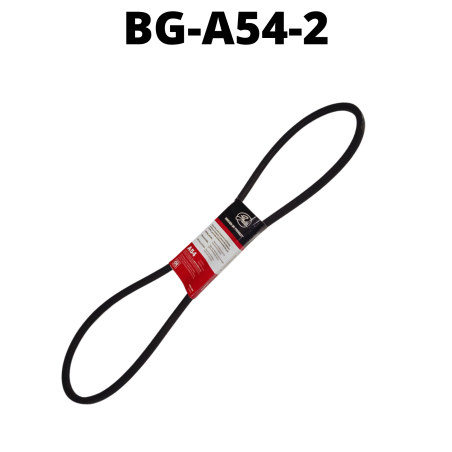 BG-A54-2