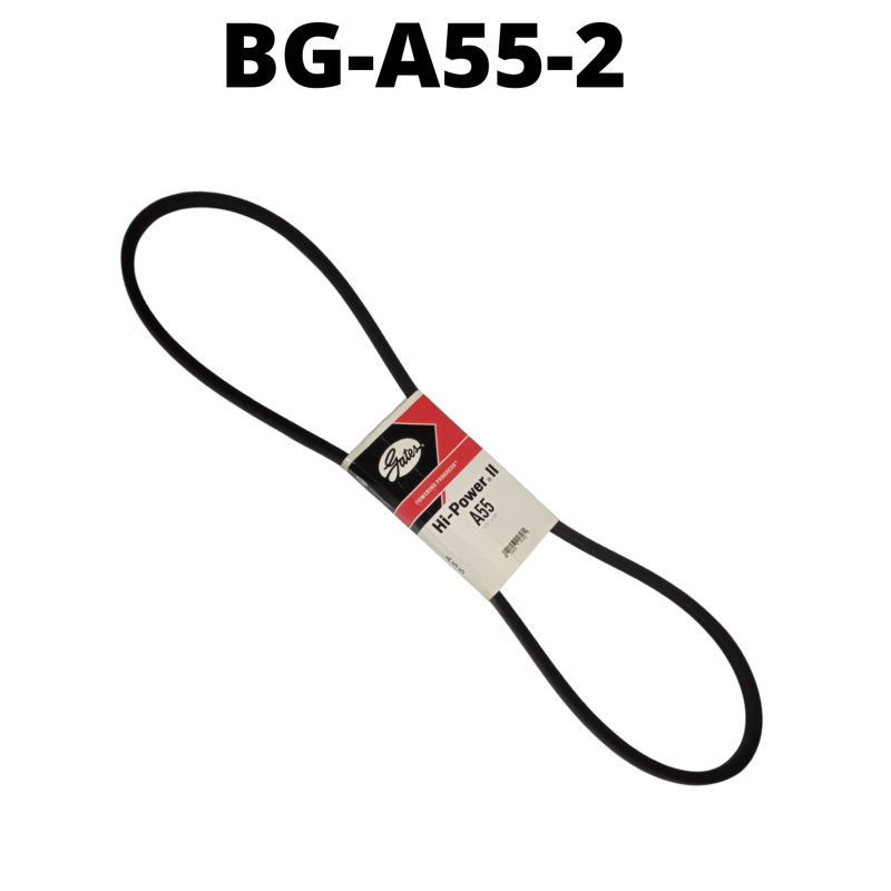 BG-A55-2