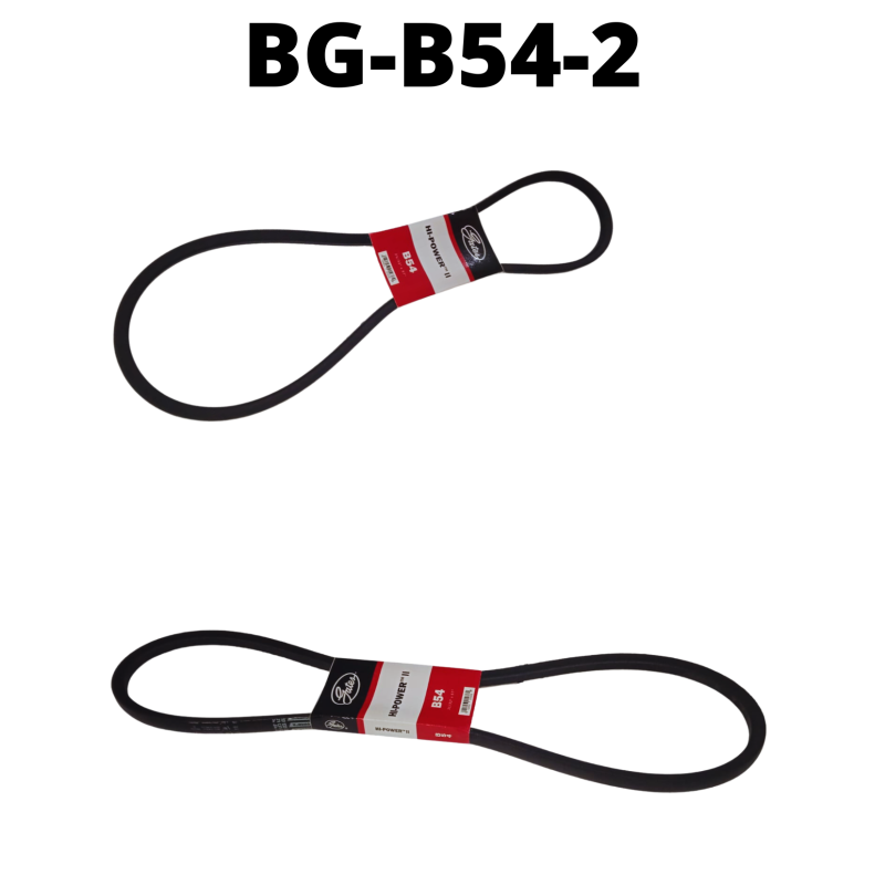 BG-B54-2
