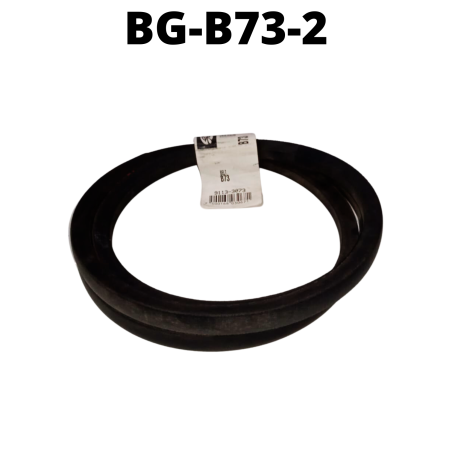 BG-B73-2