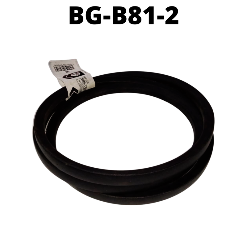 BG-B81-2