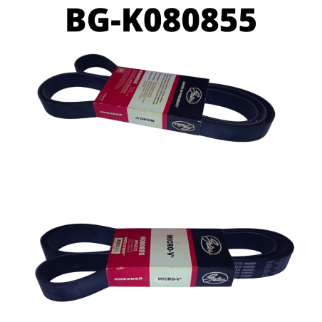 BG-K080855
