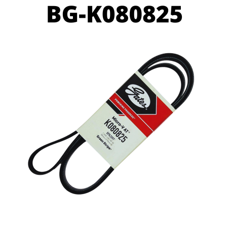 BG-K080825