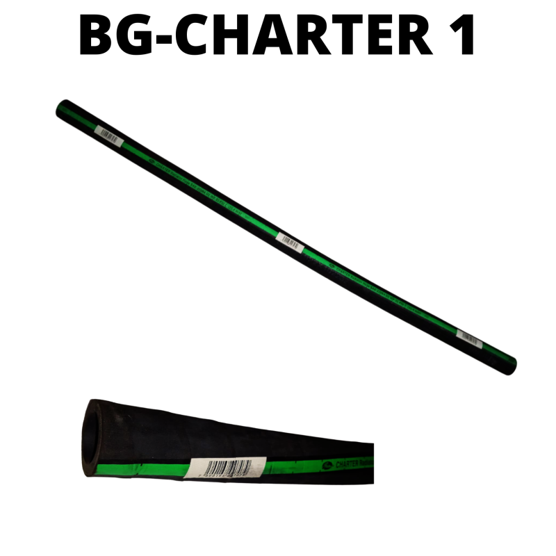 BG-CHARTER 1