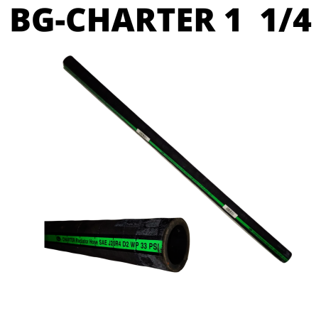 BG-CHARTER 1 1/4