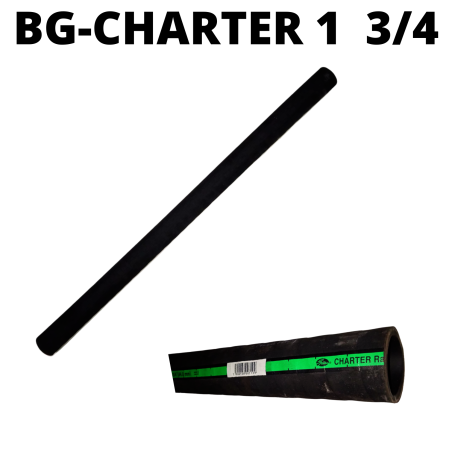 BG-CHARTER 1 3/4