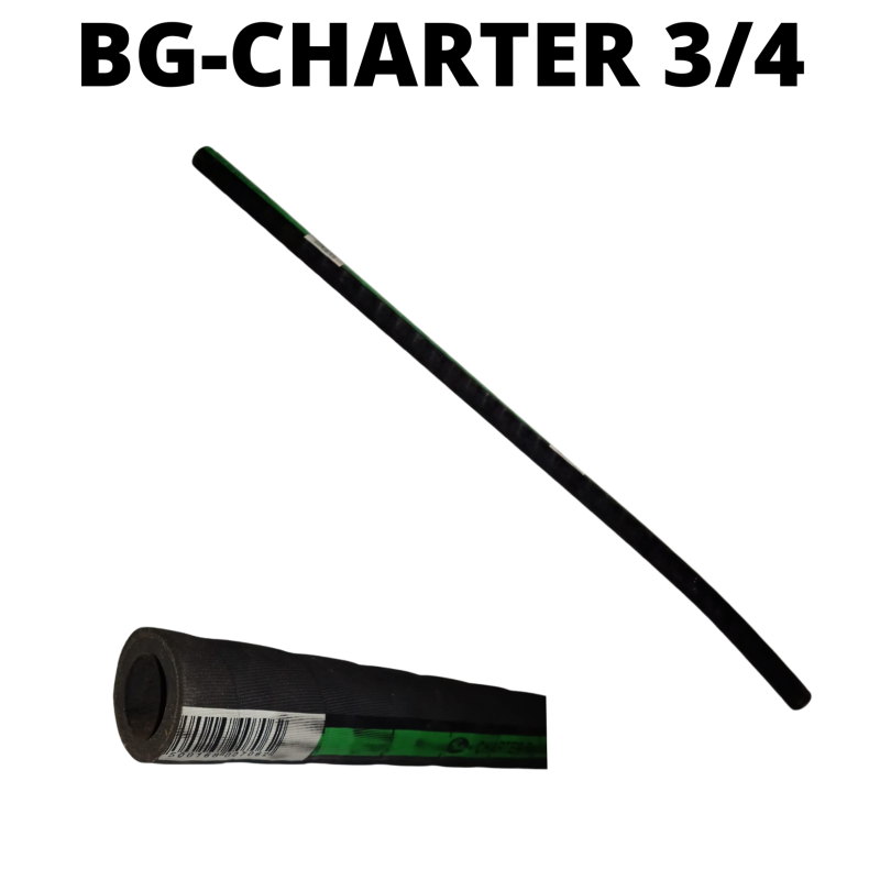 BG-CHARTER 3/4