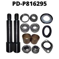 PD-P816295