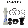 BX-276119