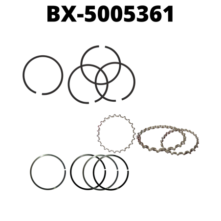 BX-5005361