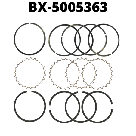 BX-5005363