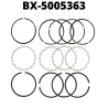 BX-5005363