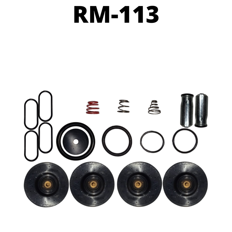 RM-113