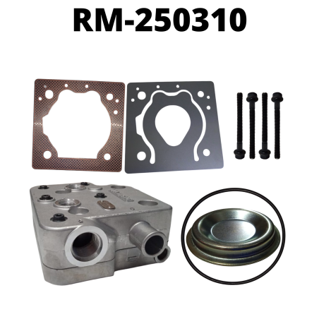 RM-250310